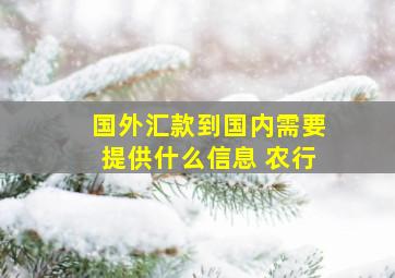 国外汇款到国内需要提供什么信息 农行